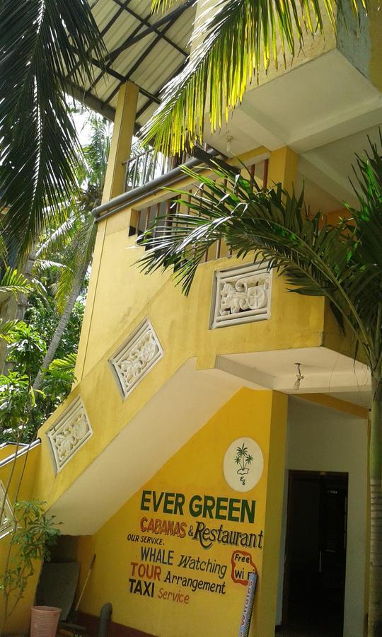 Ever Green Mirissa Habitación foto